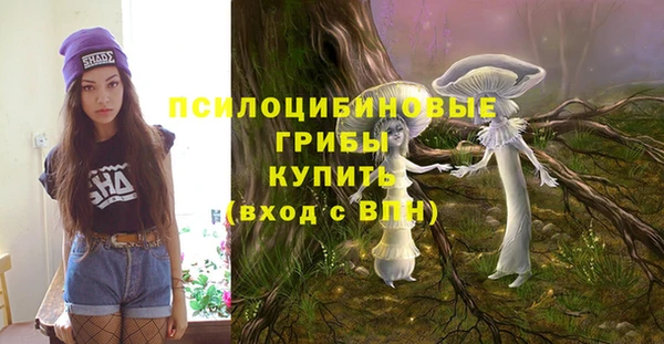 бошки Беломорск