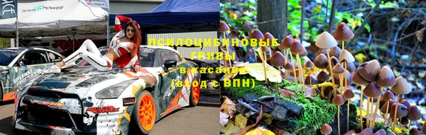 бошки Беломорск