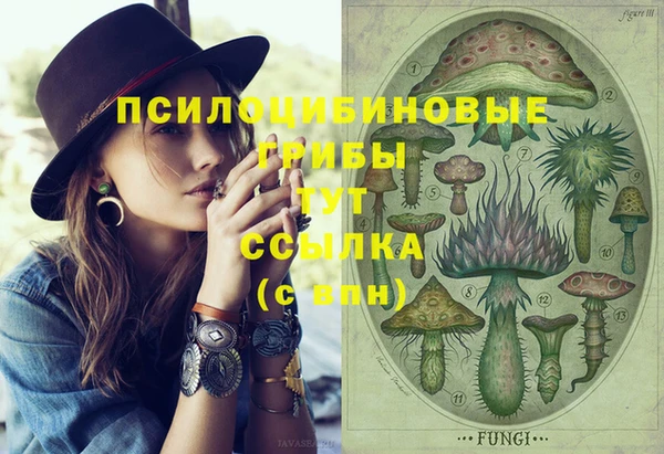 прущий лед Белокуриха