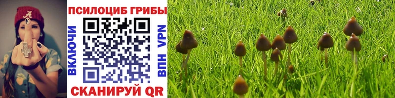 блэк спрут ссылки  Верея  Галлюциногенные грибы MAGIC MUSHROOMS 