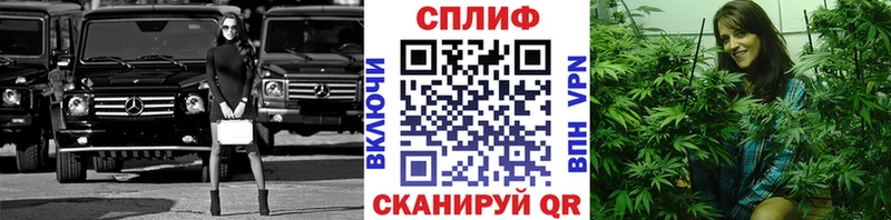 мега ONION  Верея  Марихуана гибрид 